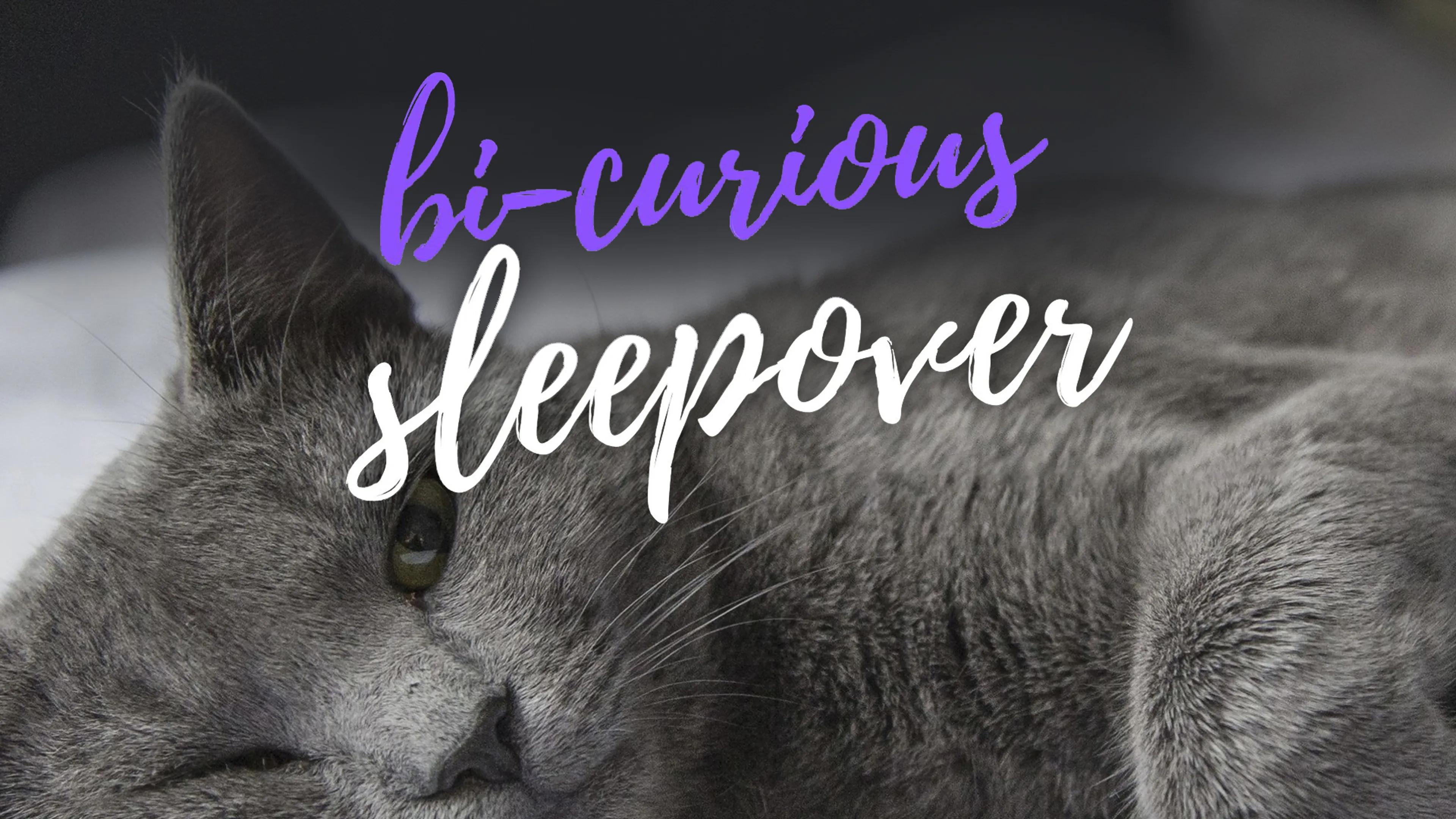Bi-curious Sleepover poster